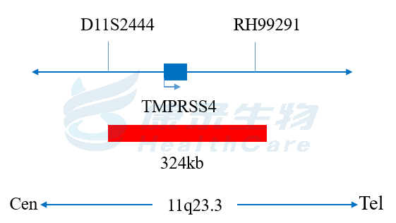 中国·拉斯维加斯(3499·官方认证)网站-Officialwebsite